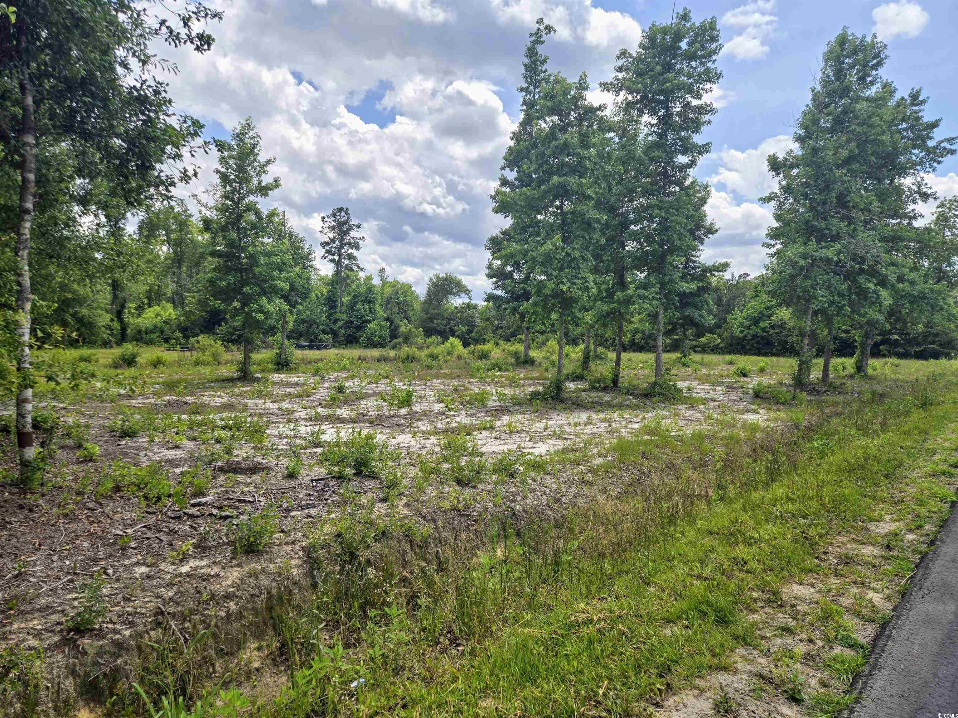 1380 Highway 915 Property Photo 2