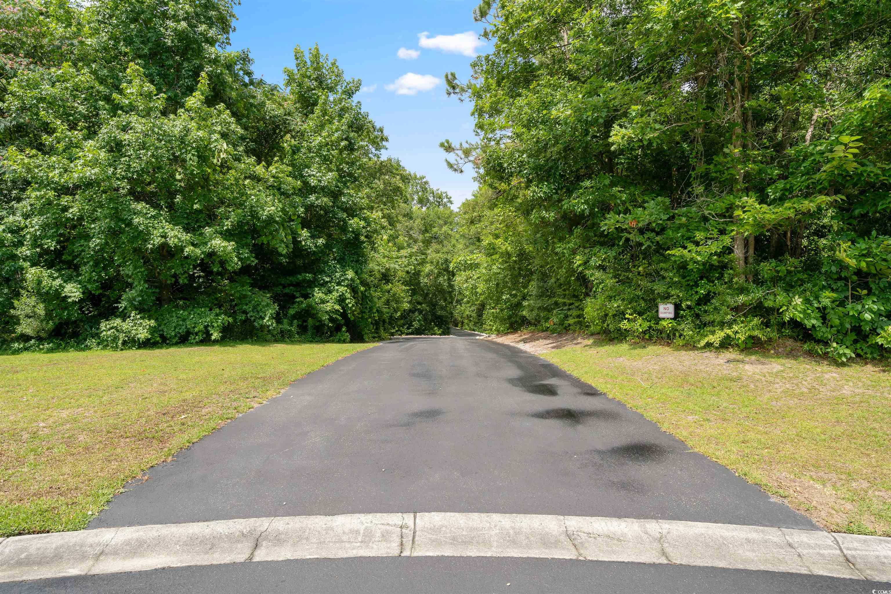252 Timber Run Dr. Property Photo 33