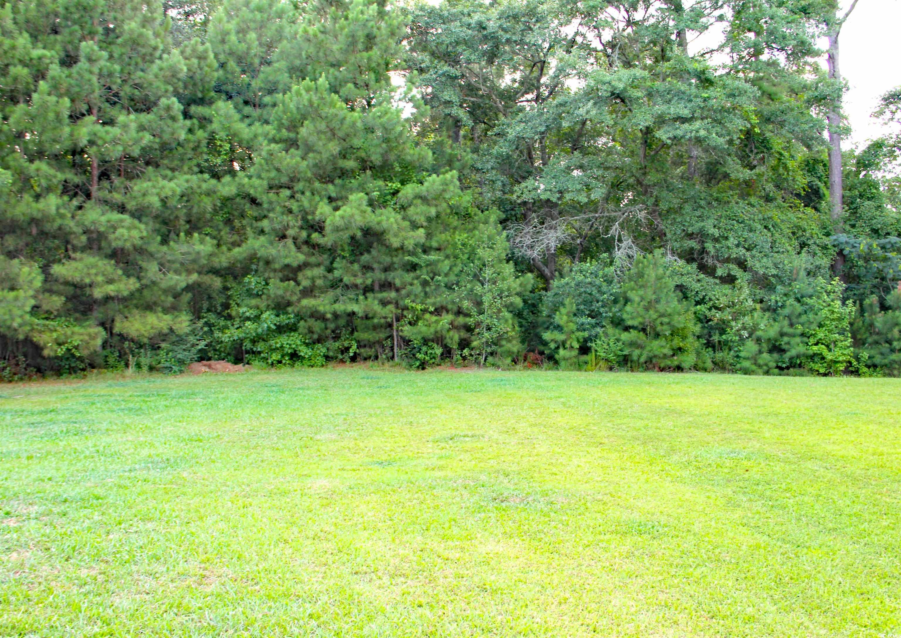 157 Blue Jacket Dr. Property Photo 19