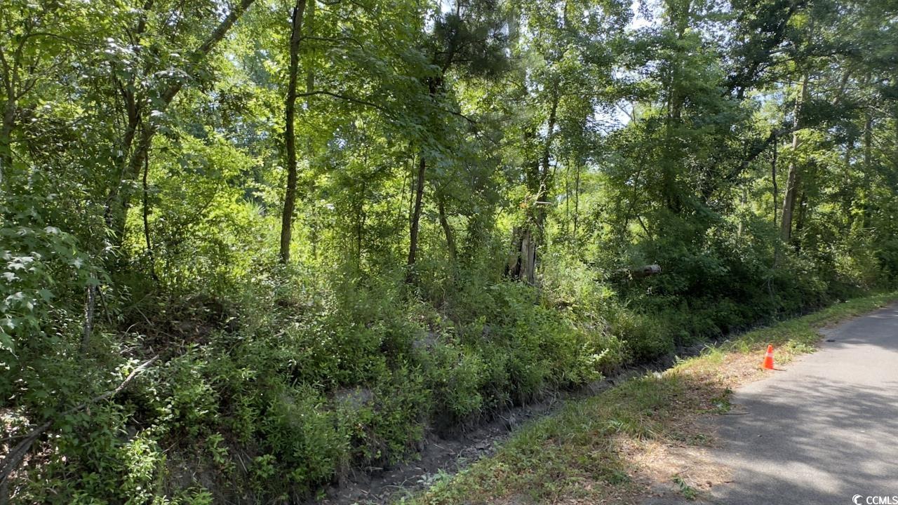 2417015 Property Photo 3