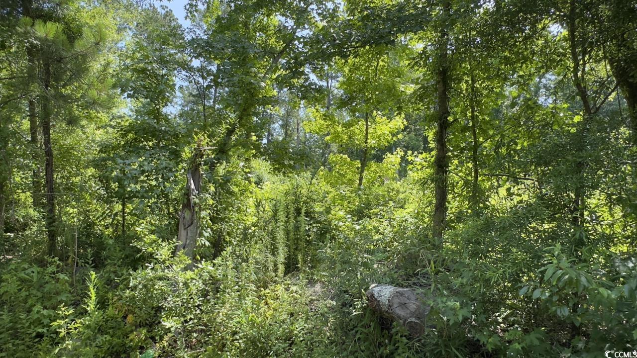 2417015 Property Photo 6