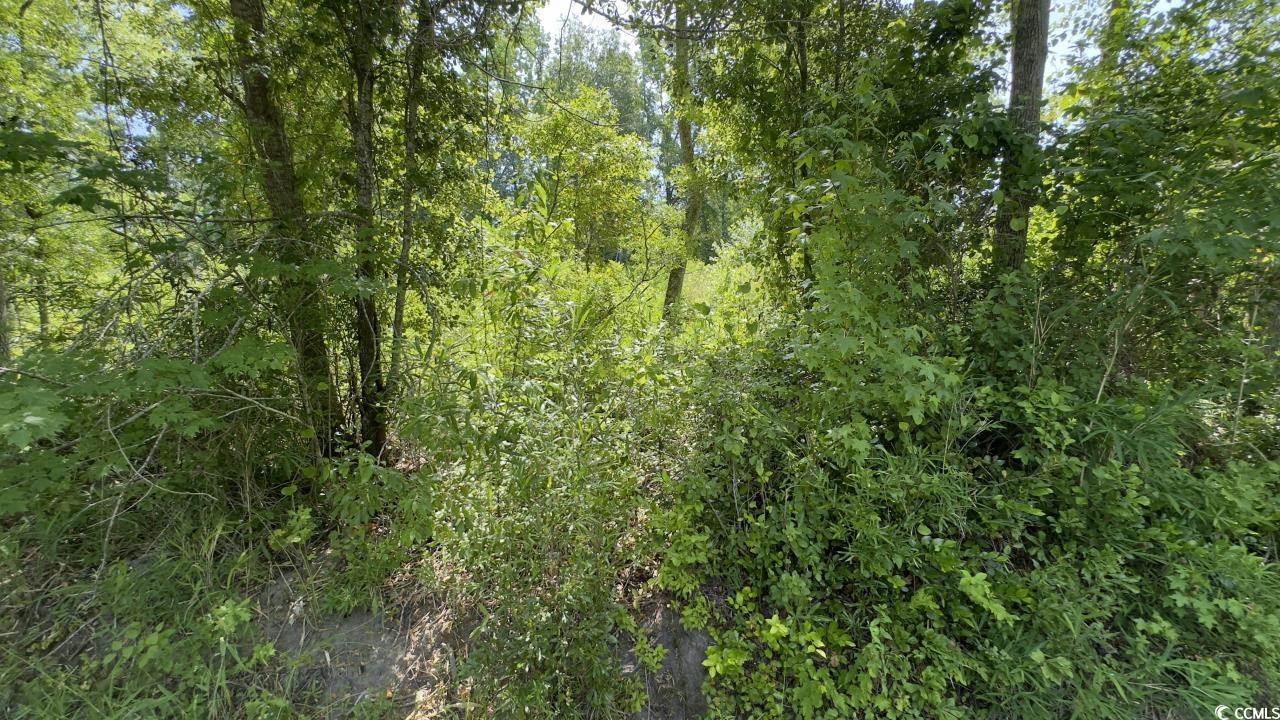 2417015 Property Photo 11