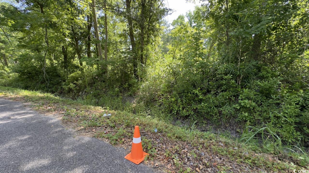 2417015 Property Photo 12