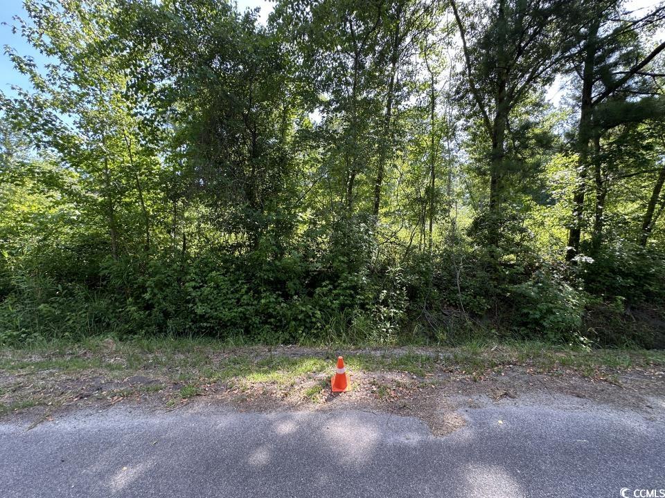 2417015 Property Photo 16