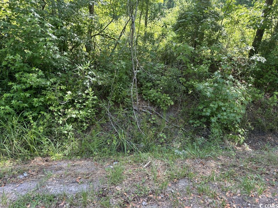 2417015 Property Photo 19