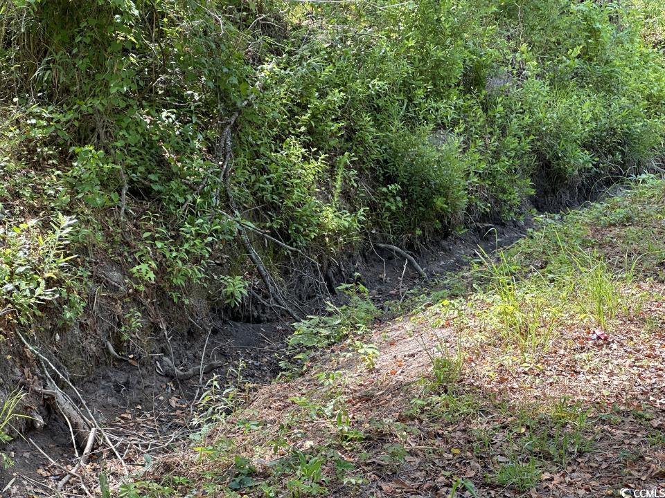 2417015 Property Photo 21