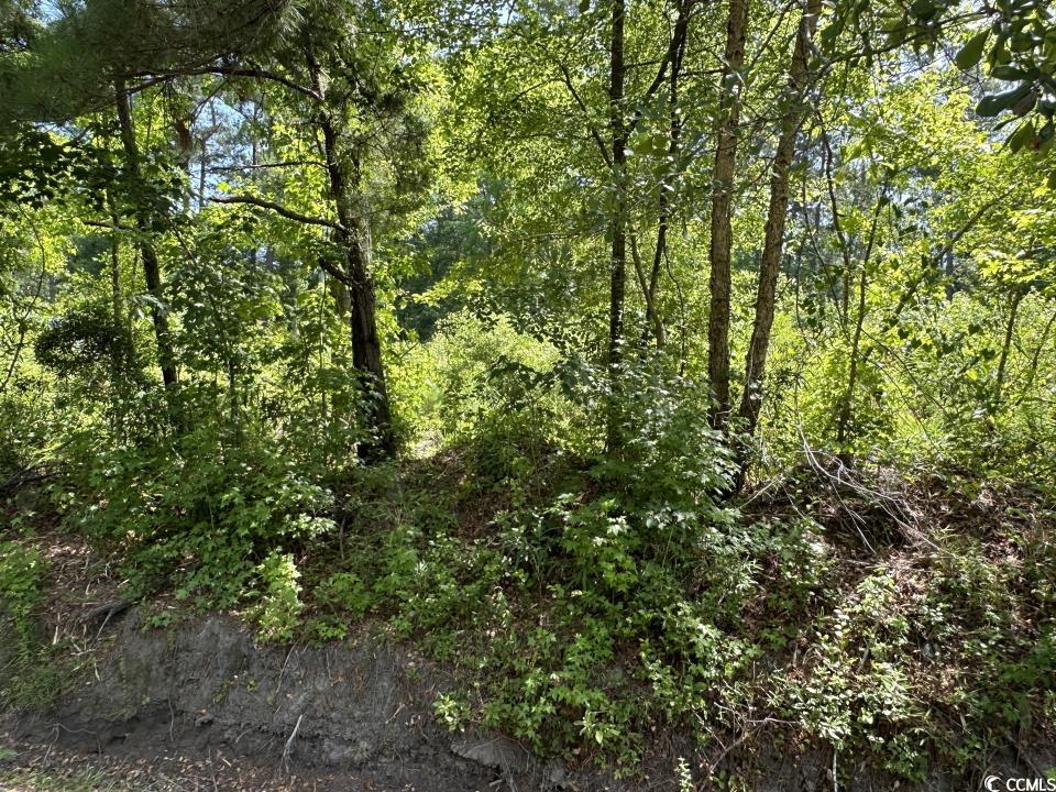2417015 Property Photo 23