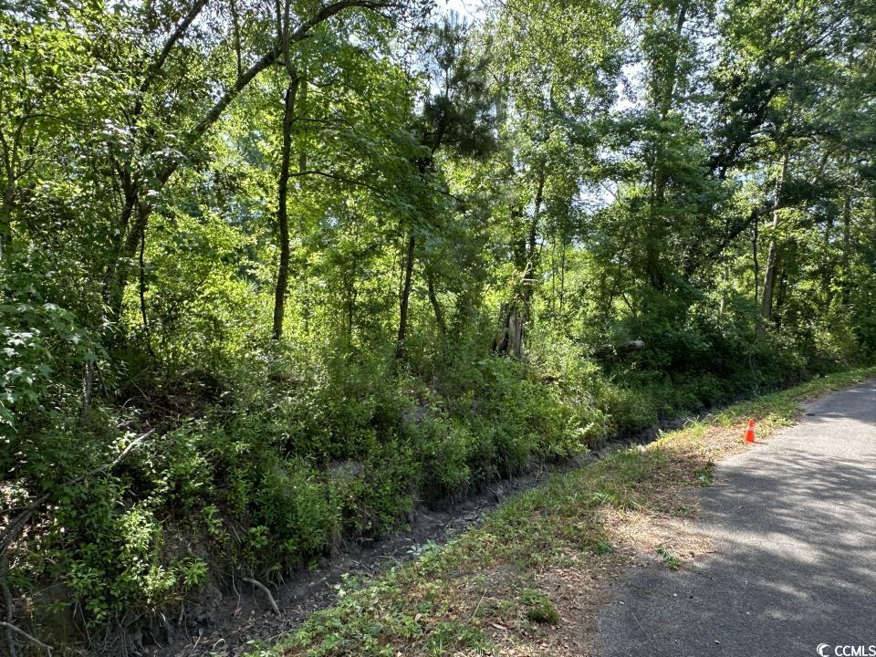 2417015 Property Photo 24