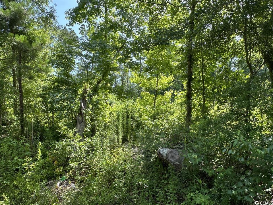 2417015 Property Photo 27
