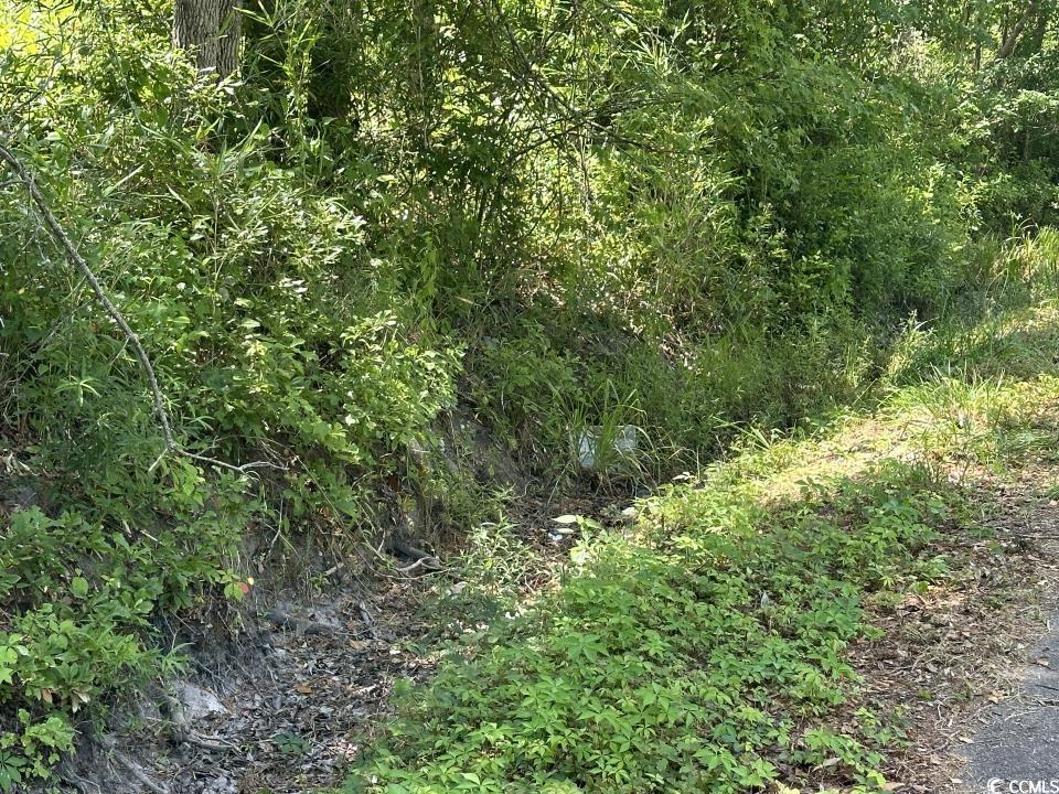 2417015 Property Photo 29