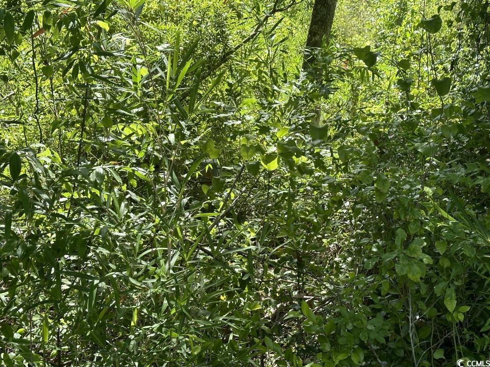 2417015 Property Photo 31