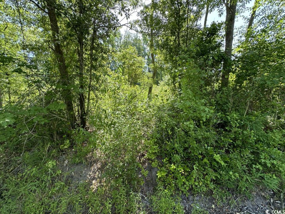 2417015 Property Photo 32