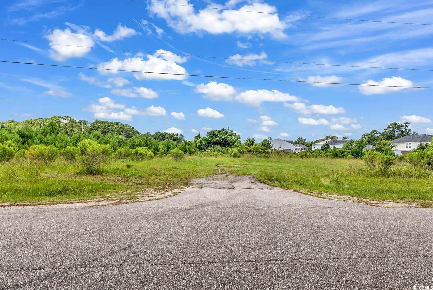 Tbd Highway 90 Property Photo 2