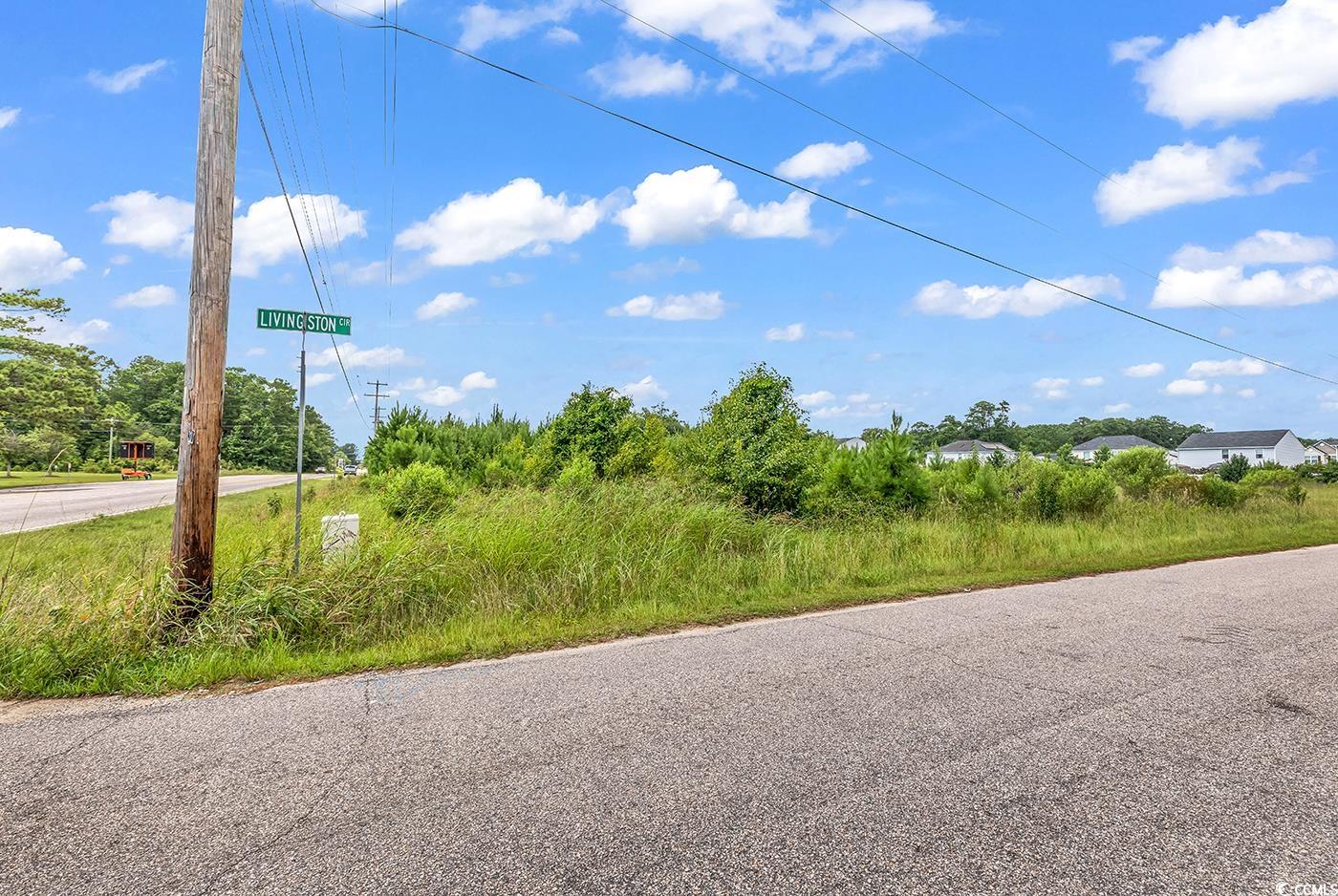 Tbd Highway 90 Property Photo 3
