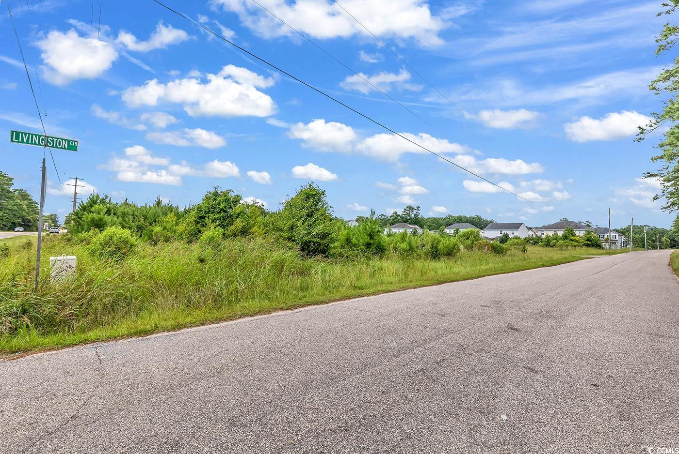 Tbd Highway 90 Property Photo 4