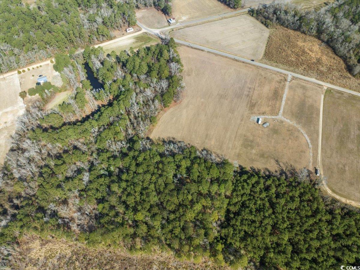 Tract 3 Kemper Church Rd. Property Photo 9