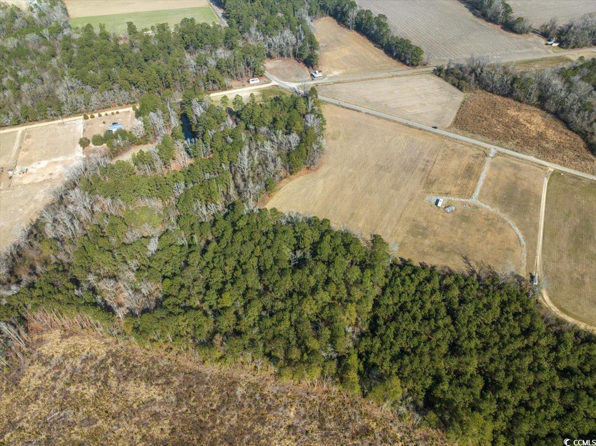 Tract 2 Kemper Church Rd. Property Photo 3