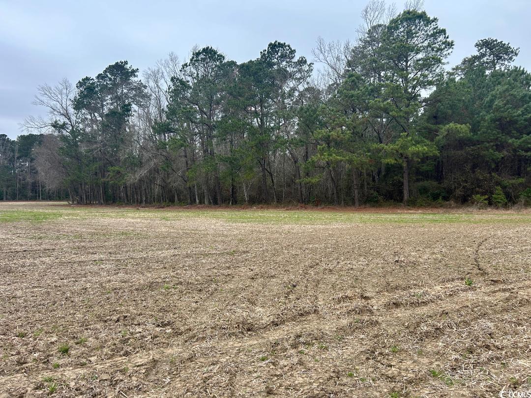 Tract 2 Kemper Church Rd. Property Photo 10