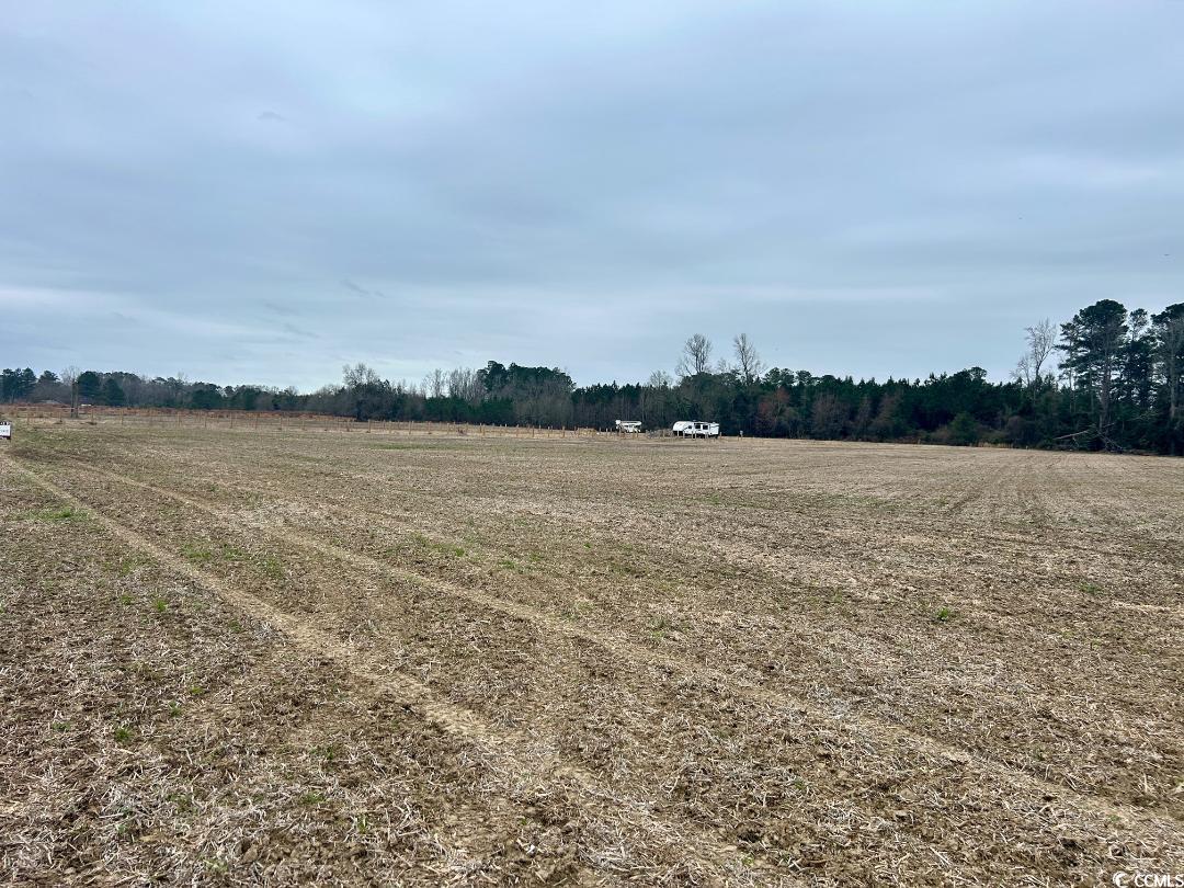 Tract 2 Kemper Church Rd. Property Photo 12