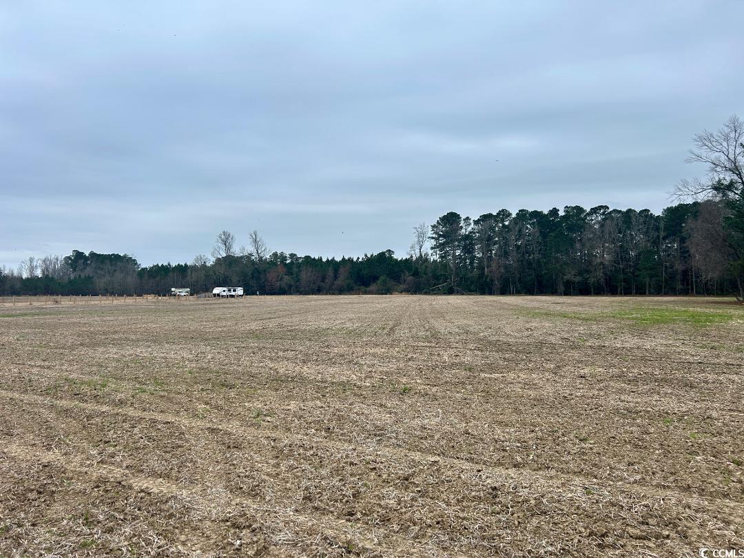Tract 2 Kemper Church Rd. Property Photo 13