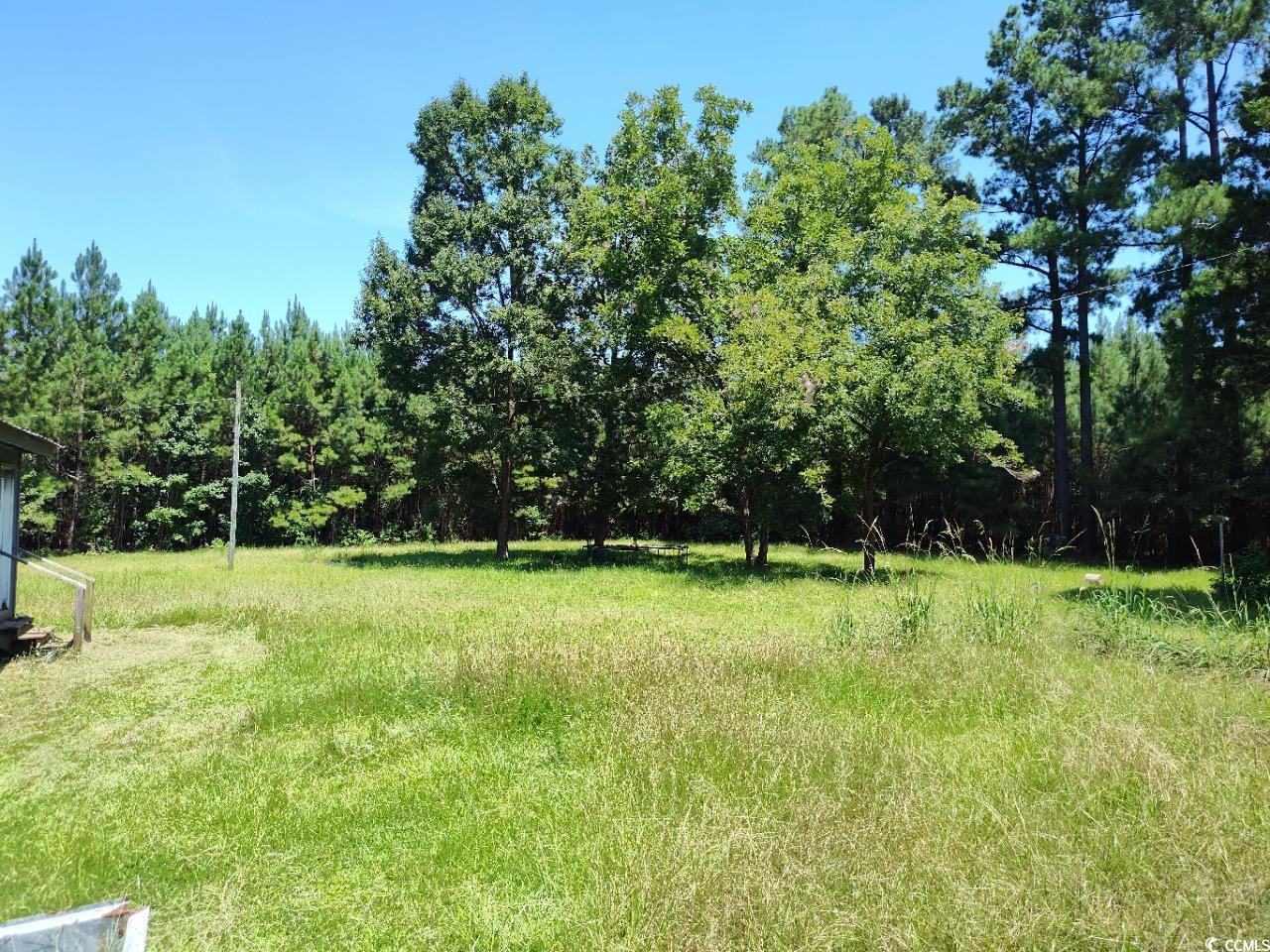 641 Cantley Landing Rd. Property Photo 5