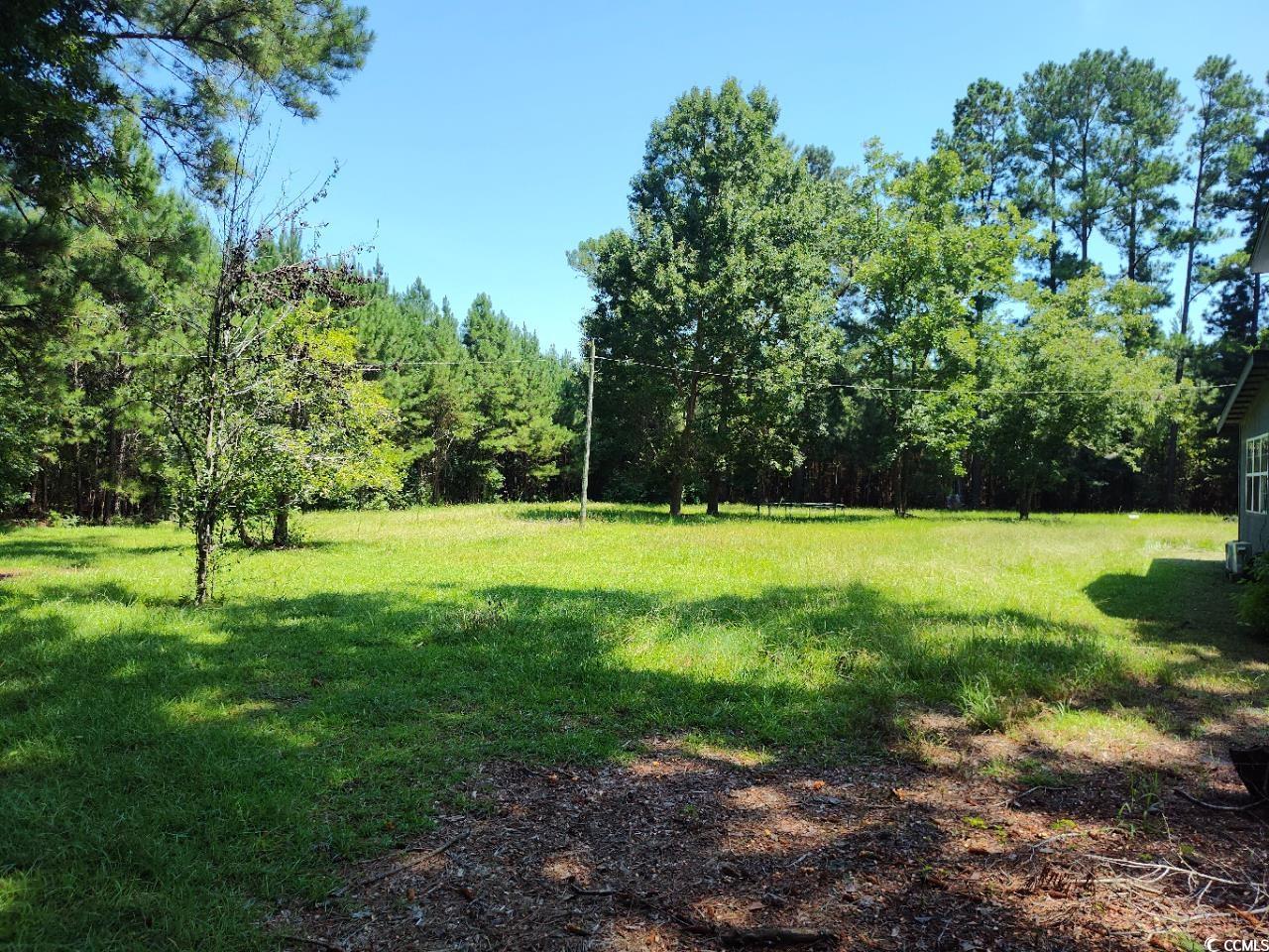 641 Cantley Landing Rd. Property Photo 8