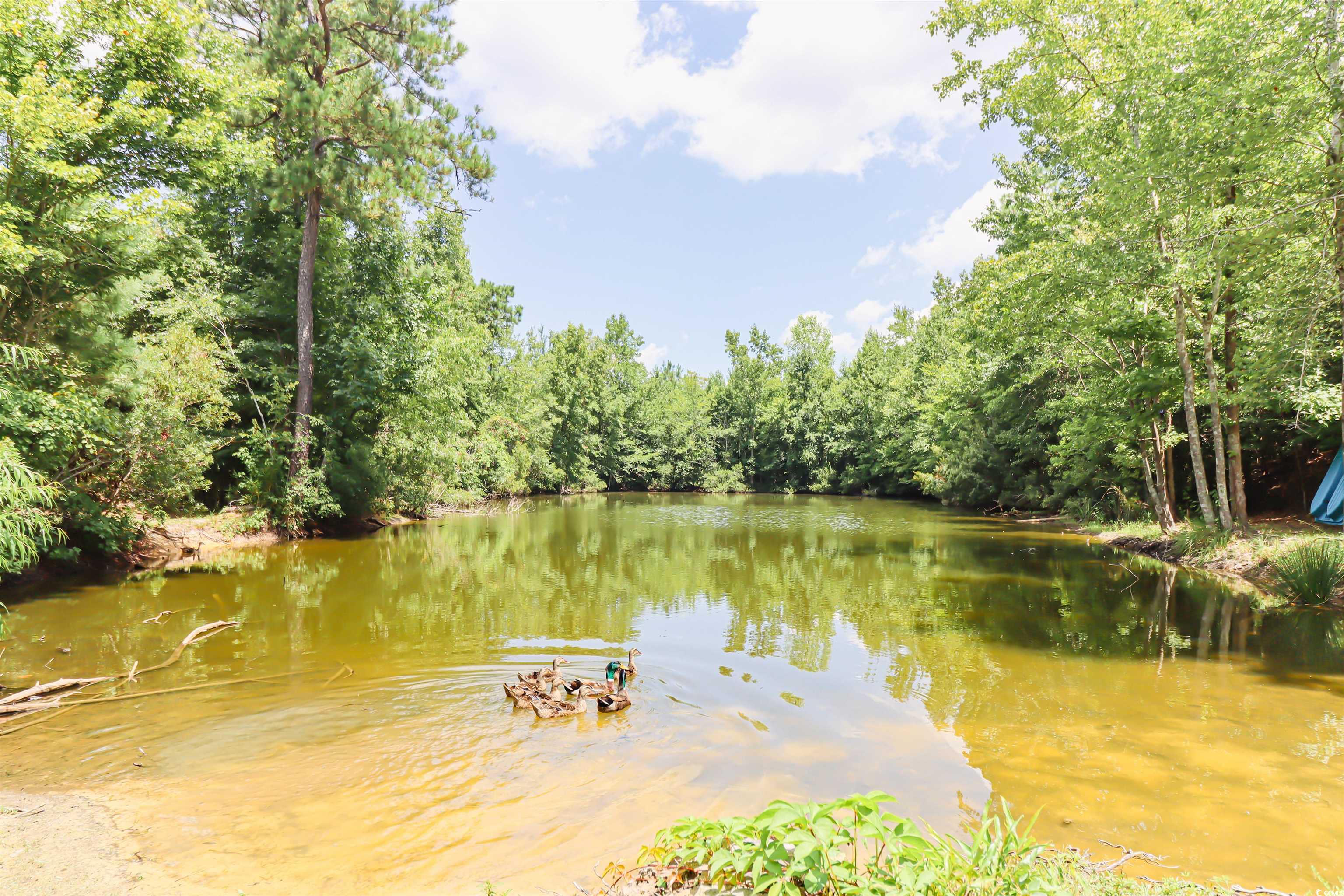3861 Nichols Hwy. Property Photo 4