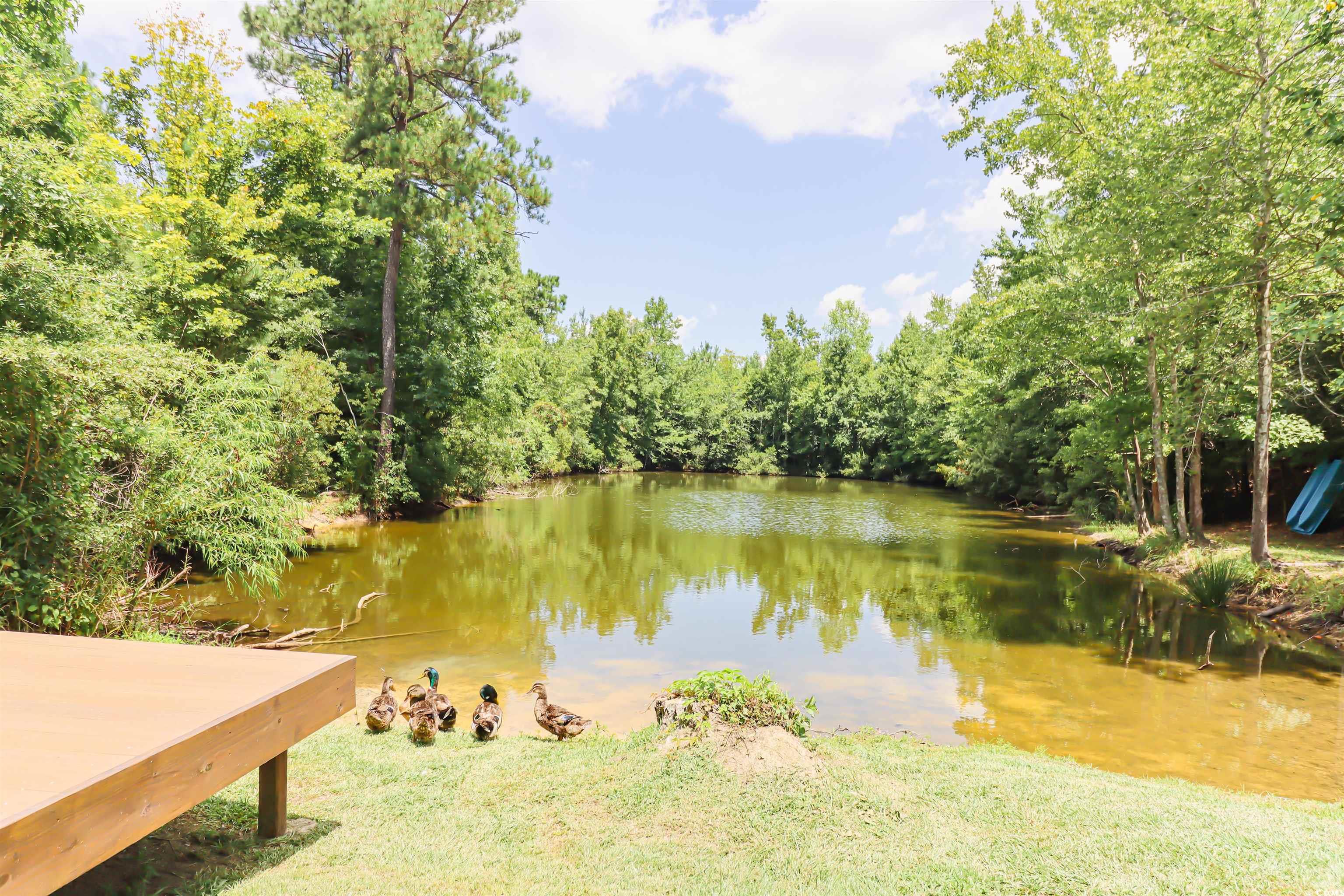 3861 Nichols Hwy. Property Photo 30