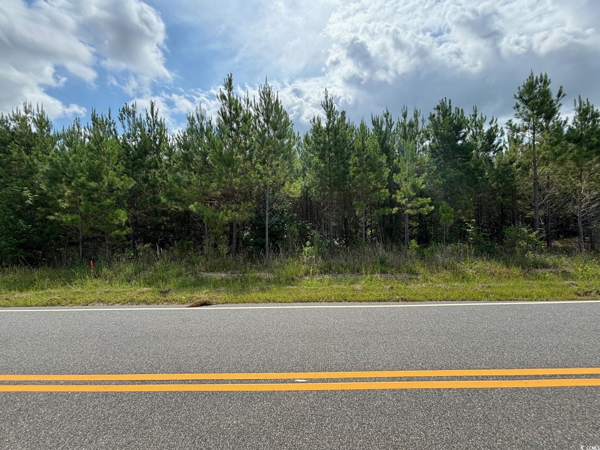 Tbd Gause Rd. Property Photo 1