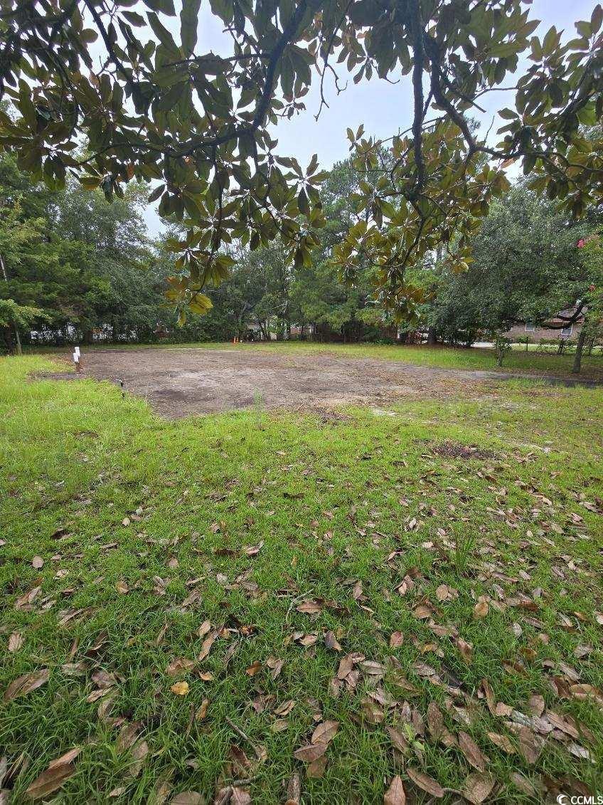 1001 Whittemore St. Property Photo 5