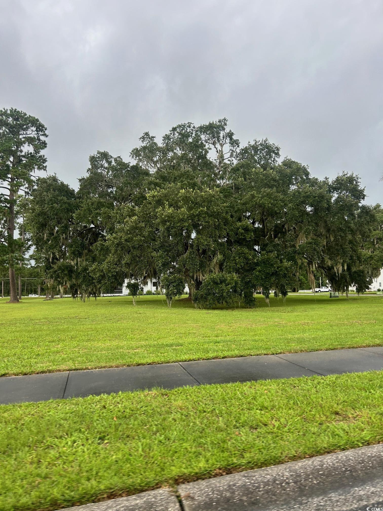 Lot 20 Daisy Bank Circle Property Photo 13