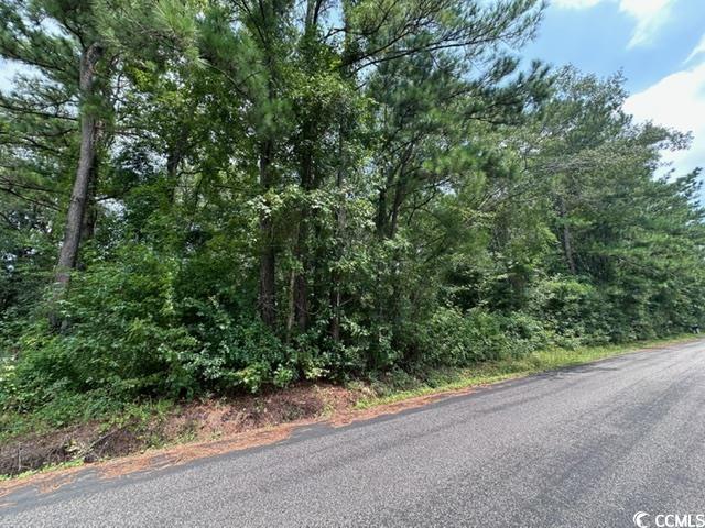 238 Savannah St. Property Photo 5