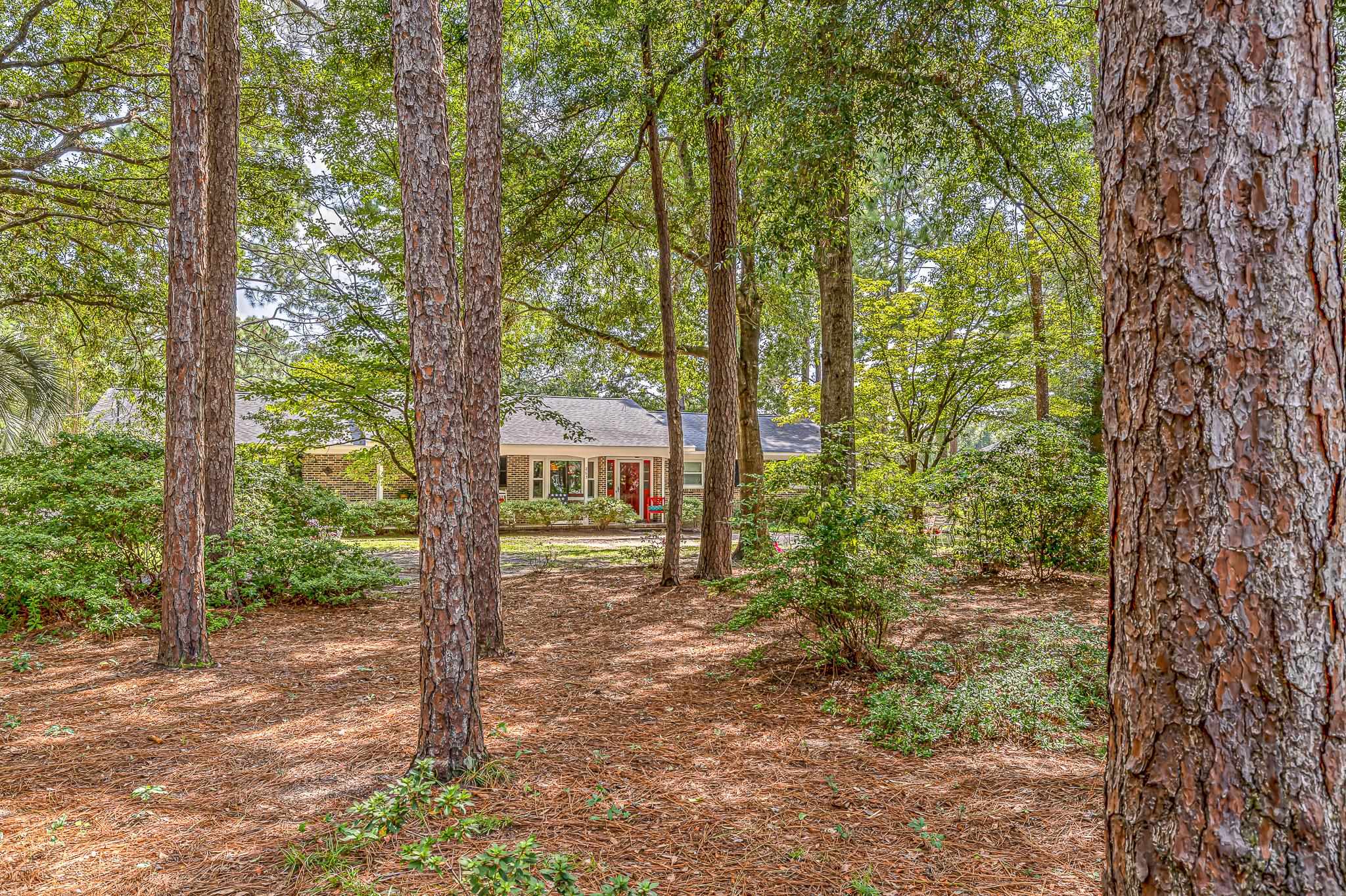 263 Arcadia Dr. Property Photo 3