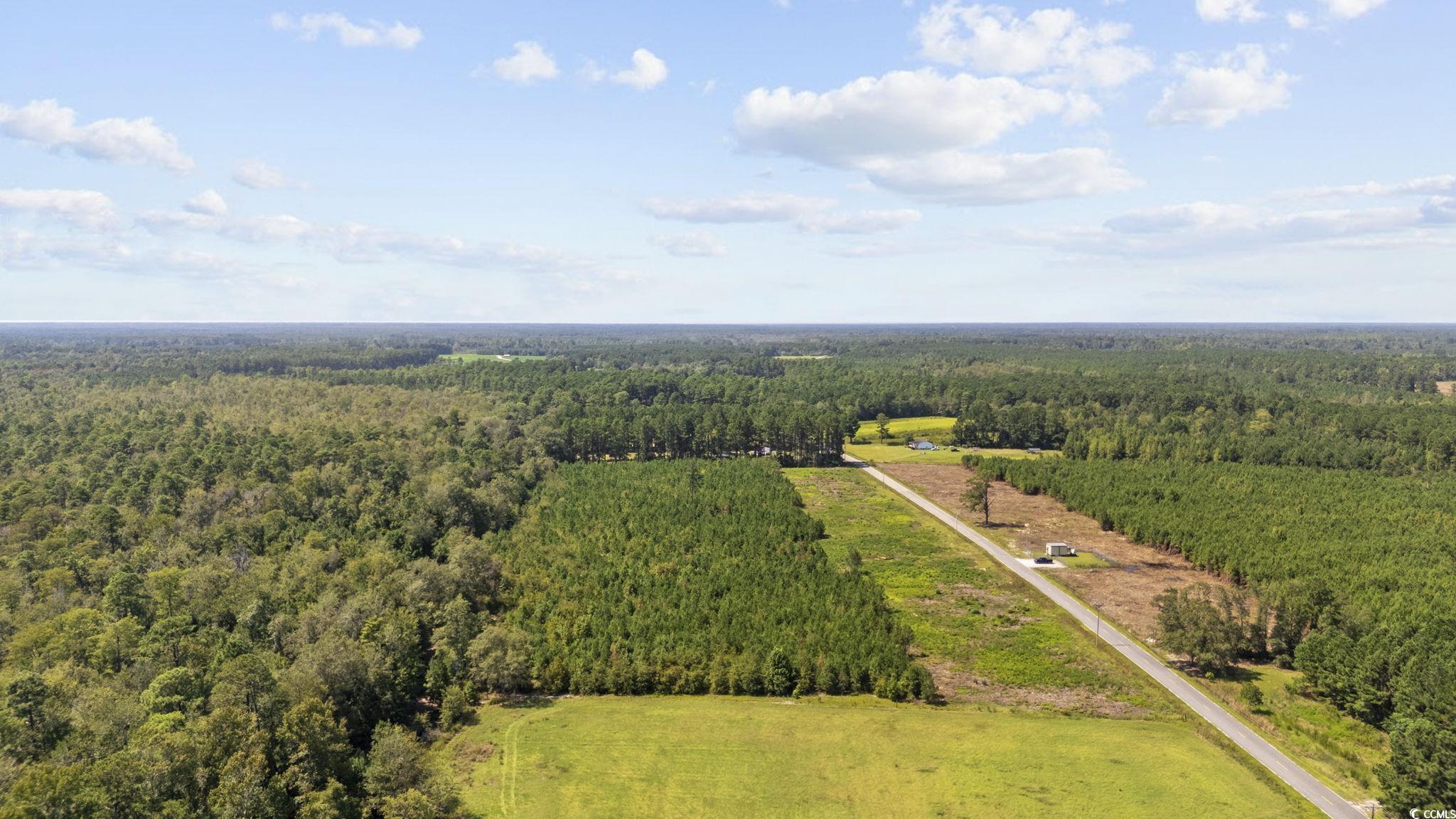 Lot 5 Black Creek Rd. Property Photo 4