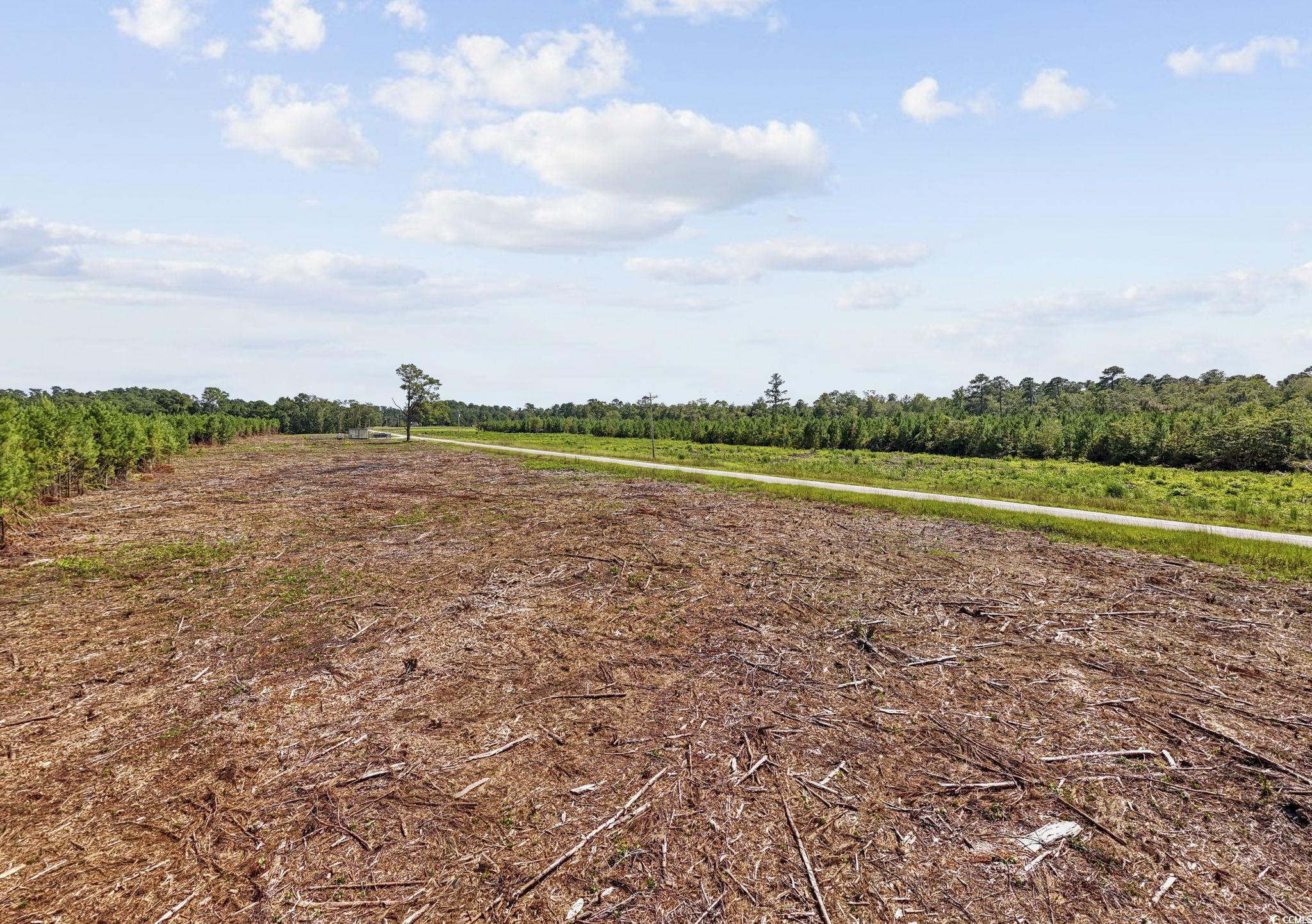Lot 5 Black Creek Rd. Property Photo 18
