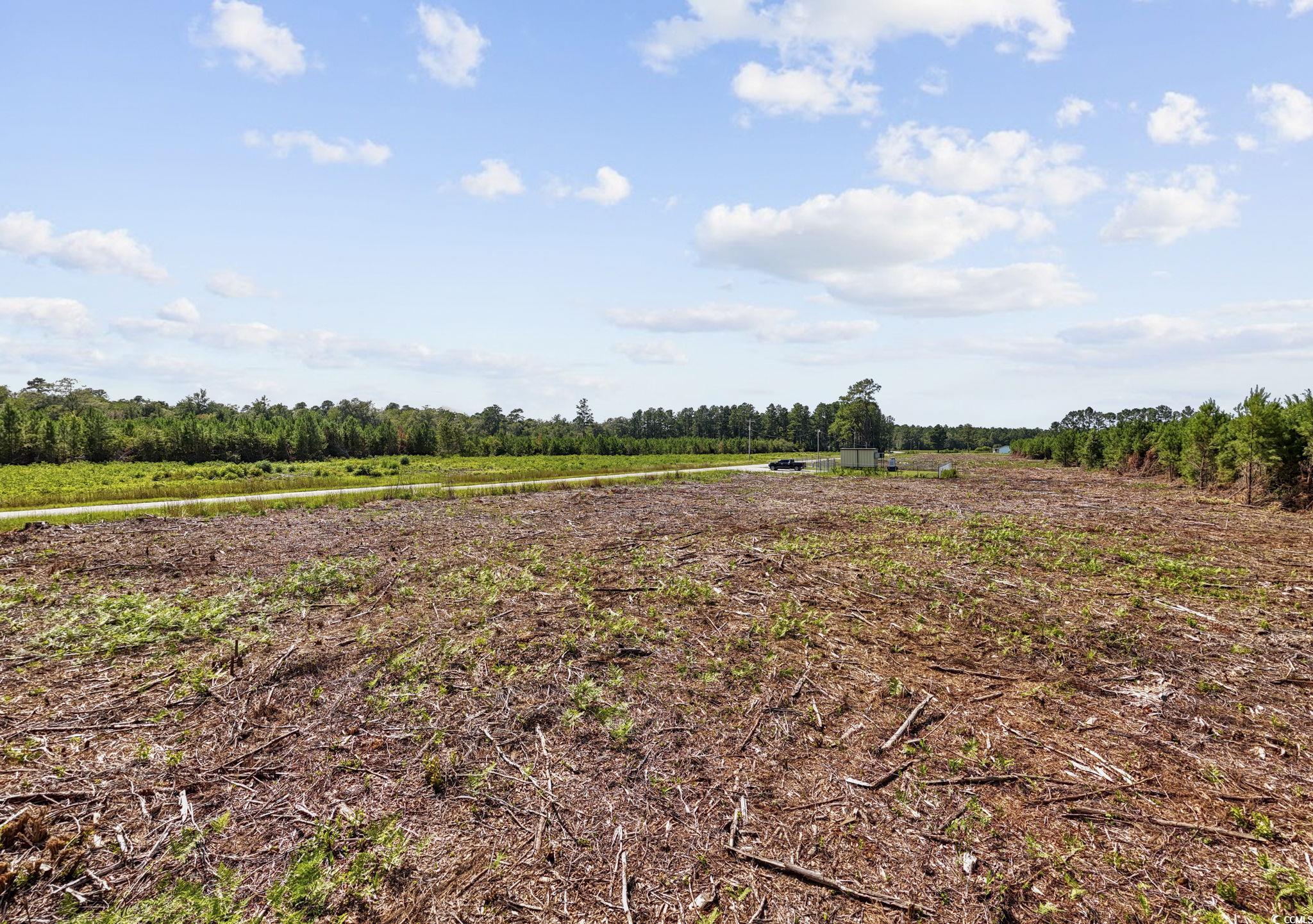 Lot 5 Black Creek Rd. Property Photo 19