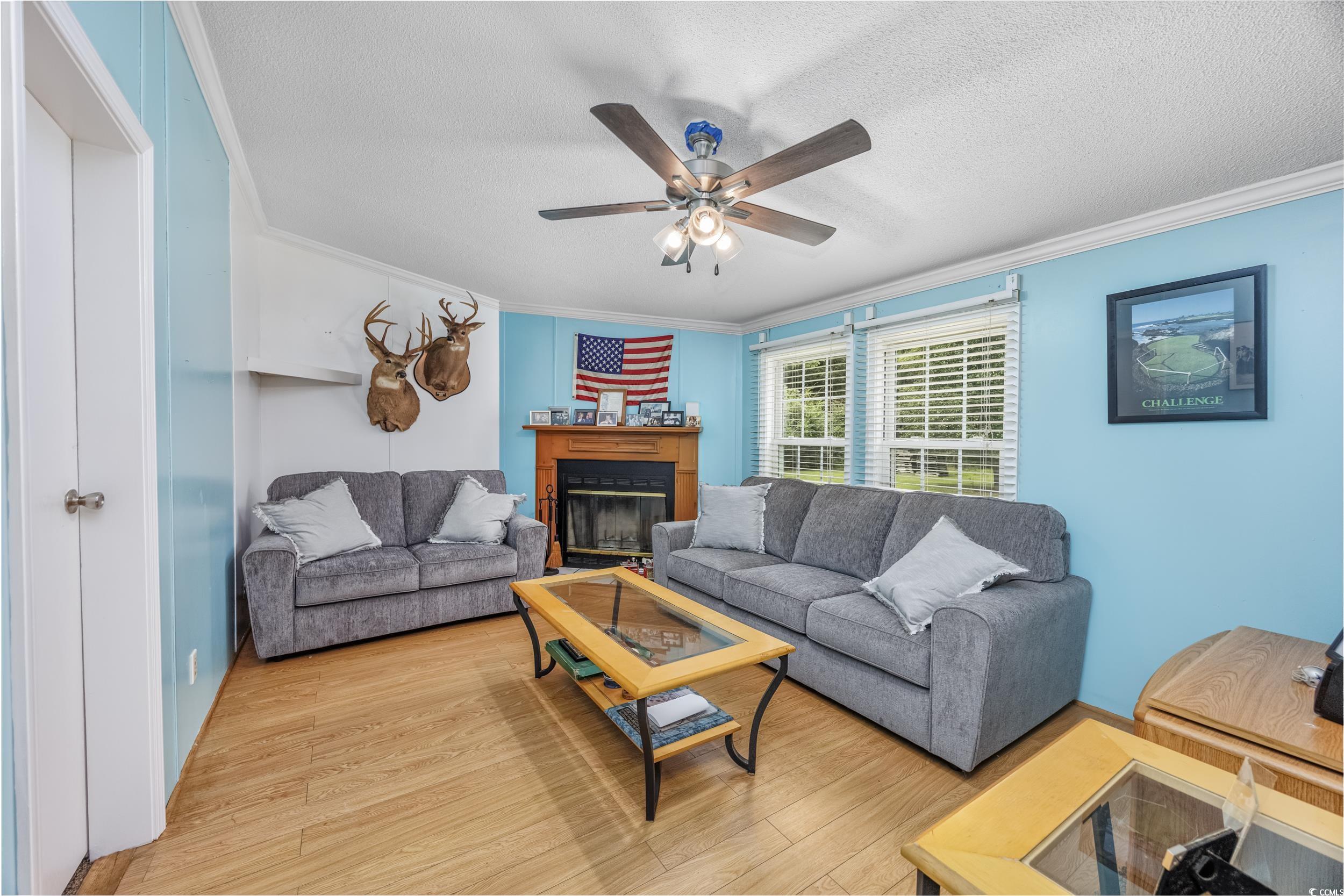 5391 Highway 19 Property Photo 2