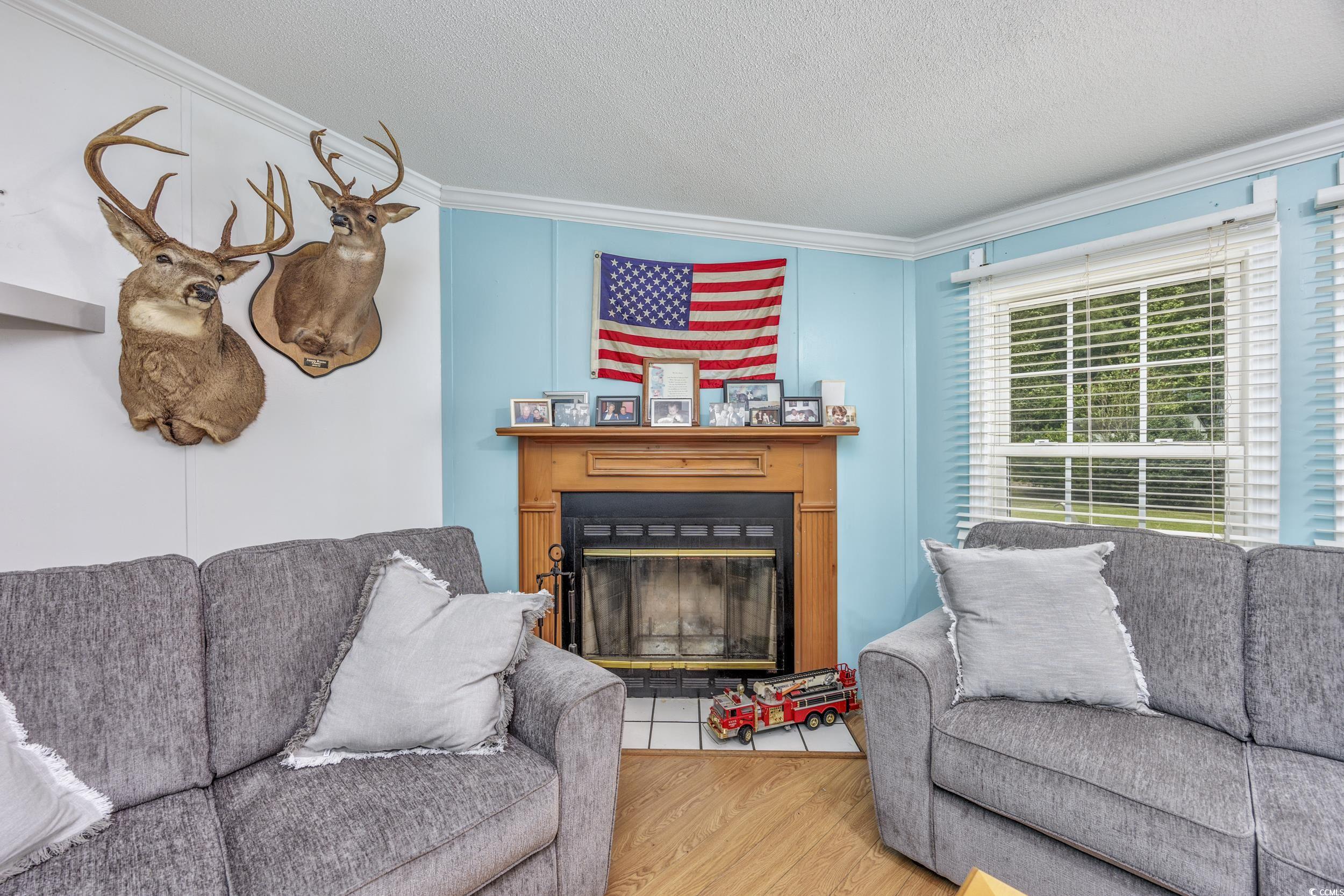 5391 Highway 19 Property Photo 3