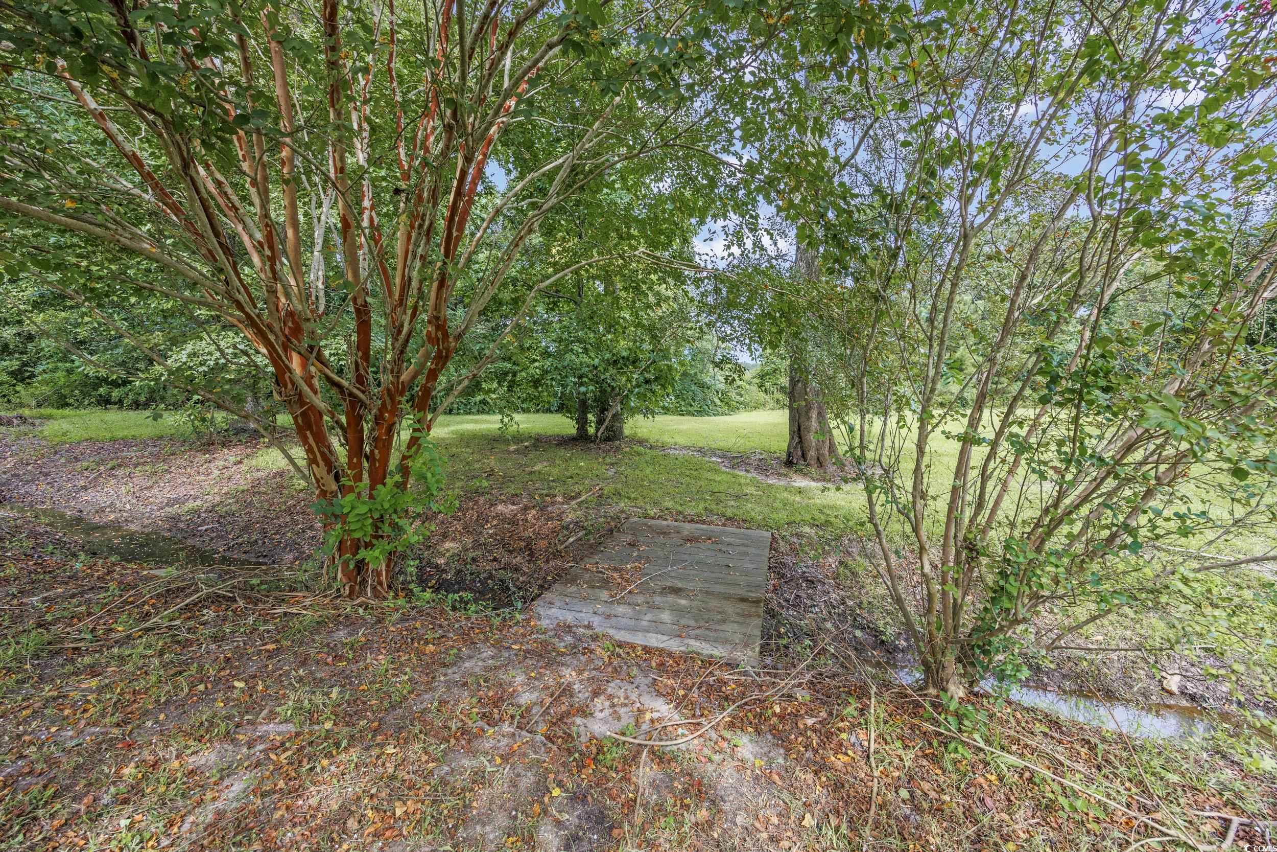 5391 Highway 19 Property Photo 38