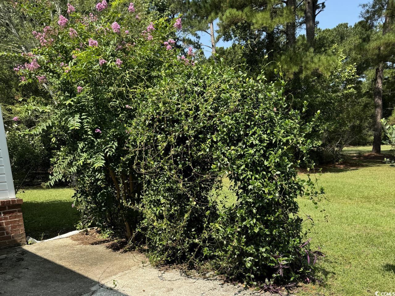 176 King George Rd. Property Photo 11