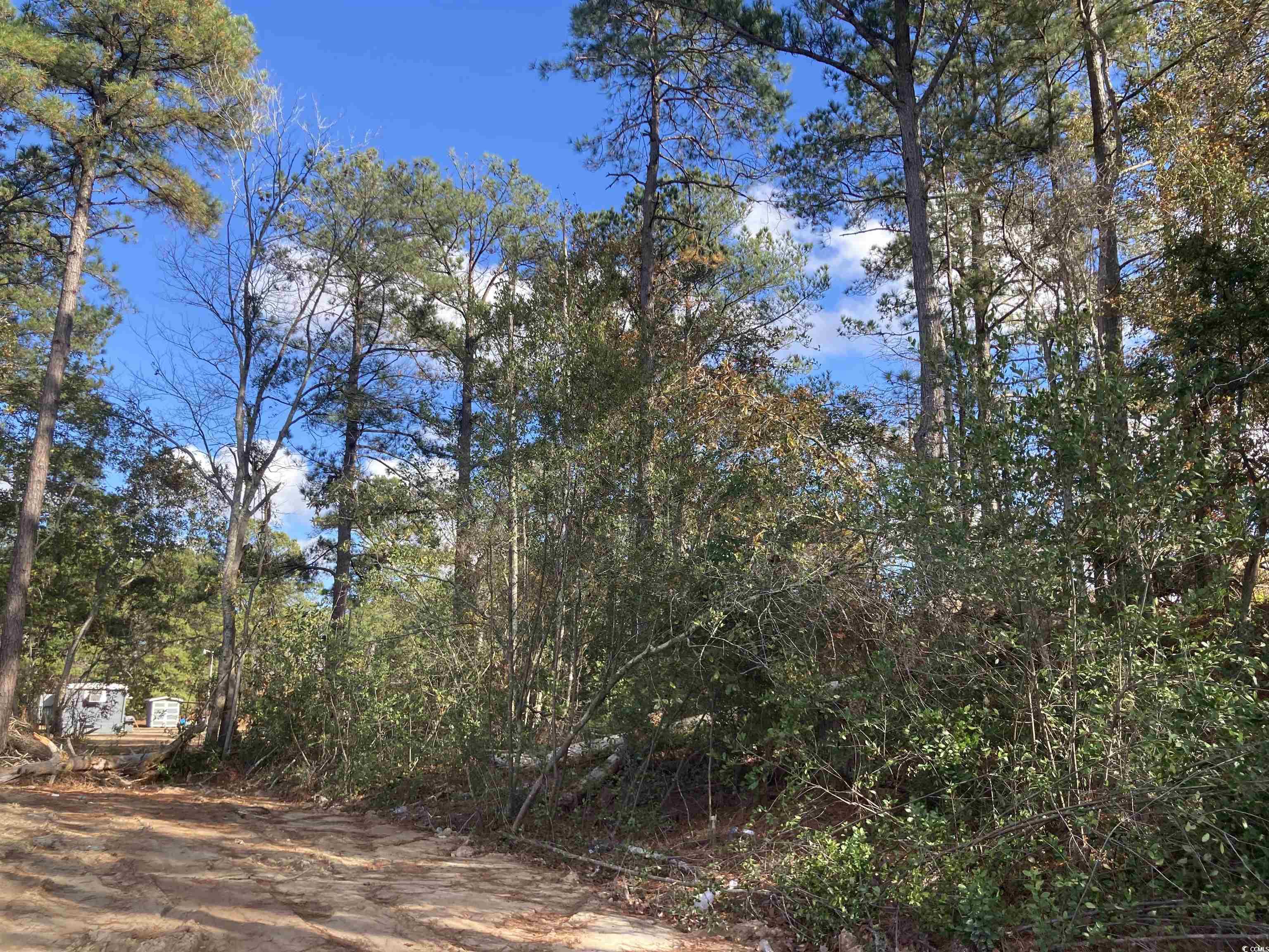 1581 Highway 701 South Property Photo 19