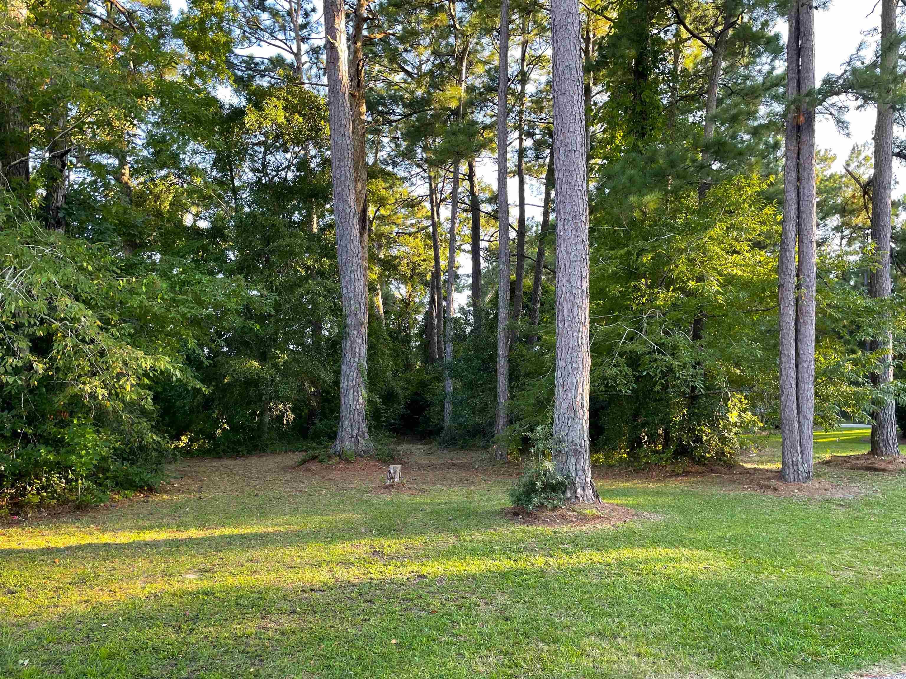 4195 Golf Ave. Property Photo 3
