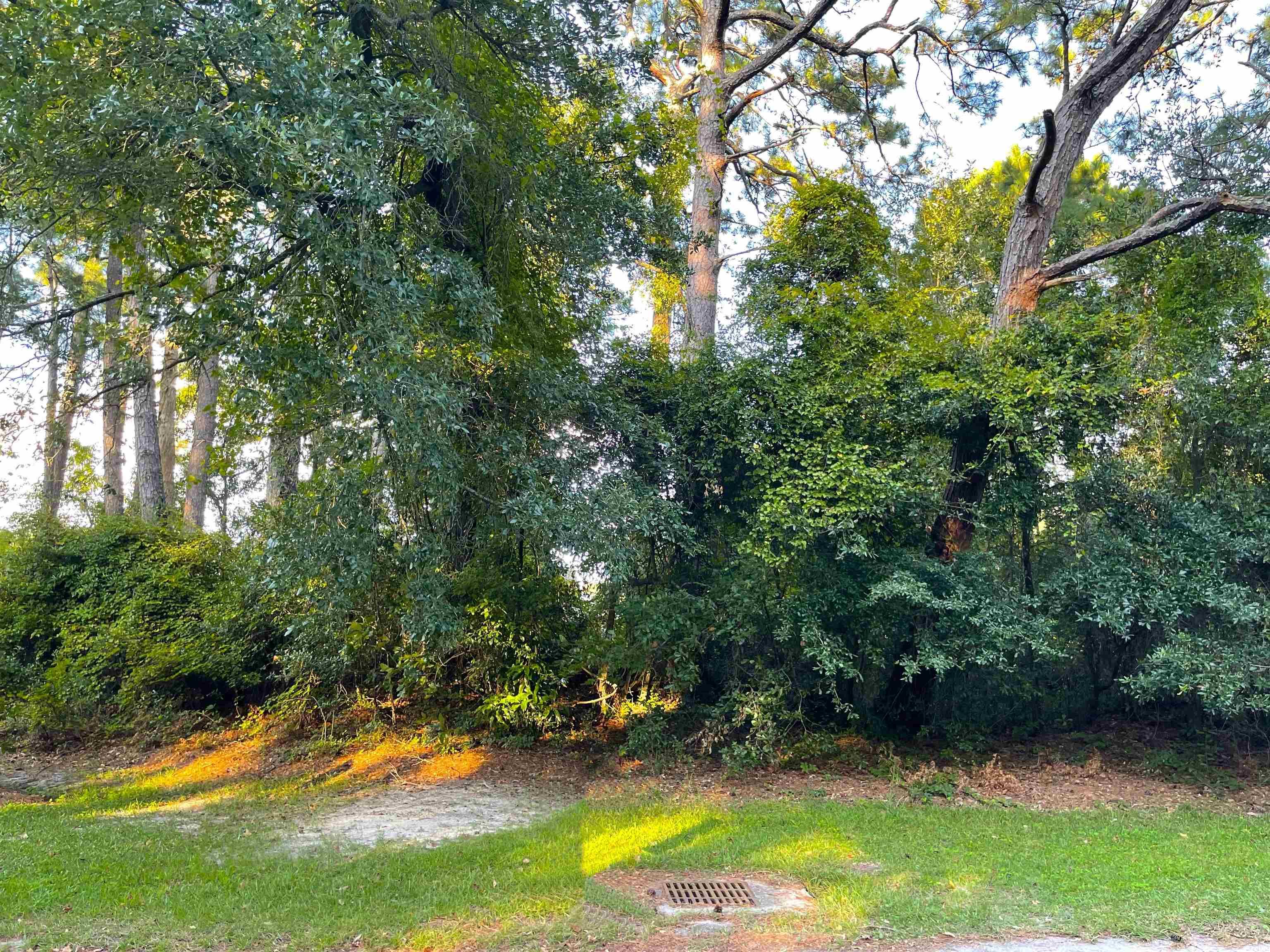 4195 Golf Ave. Property Photo 6
