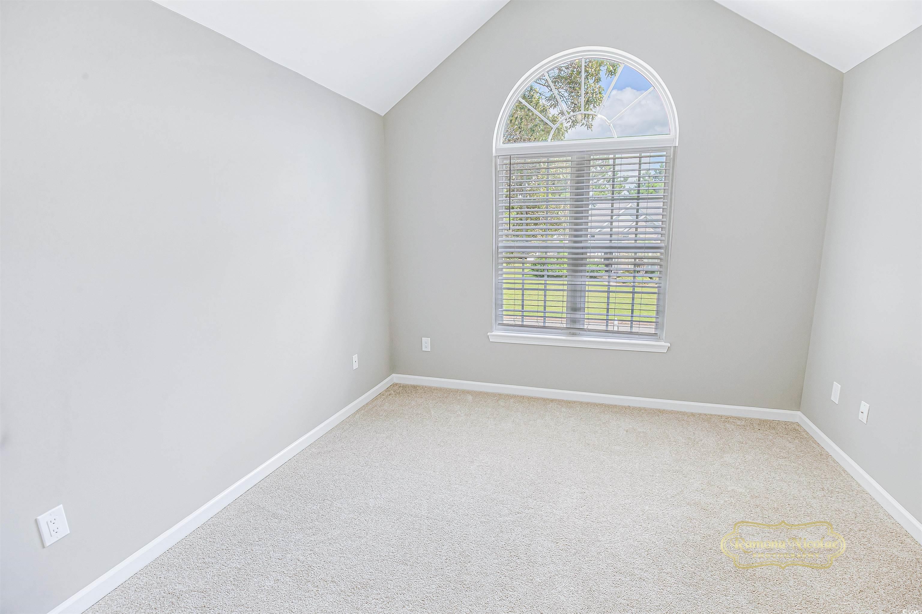 629 Slash Pine Ct. Property Photo 18