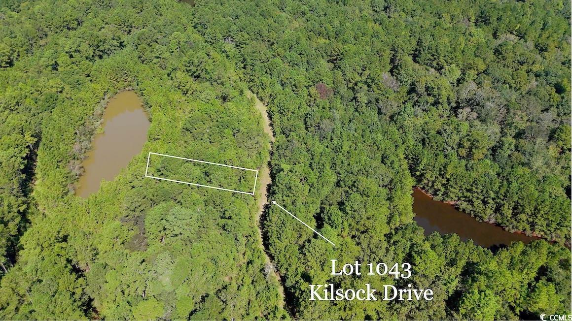 1043 Kilsock Dr Harmony Township Property Photo 11