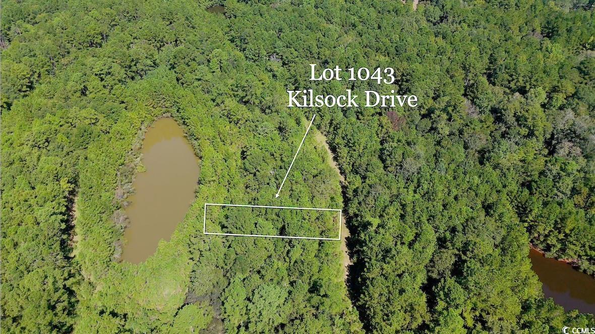 1043 Kilsock Dr Harmony Township Property Photo 12