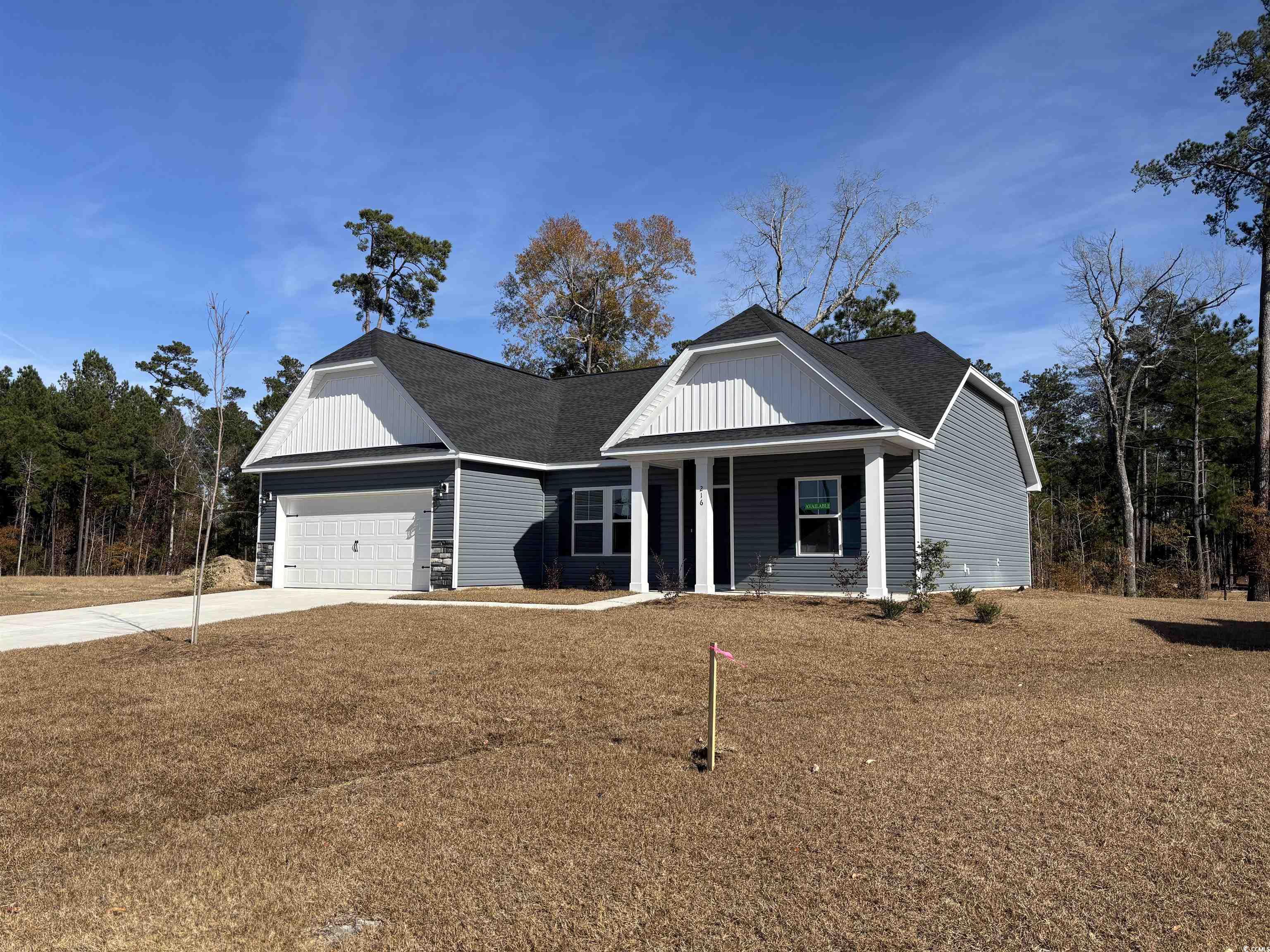 216 Palmetto Sand Loop Property Photo 3