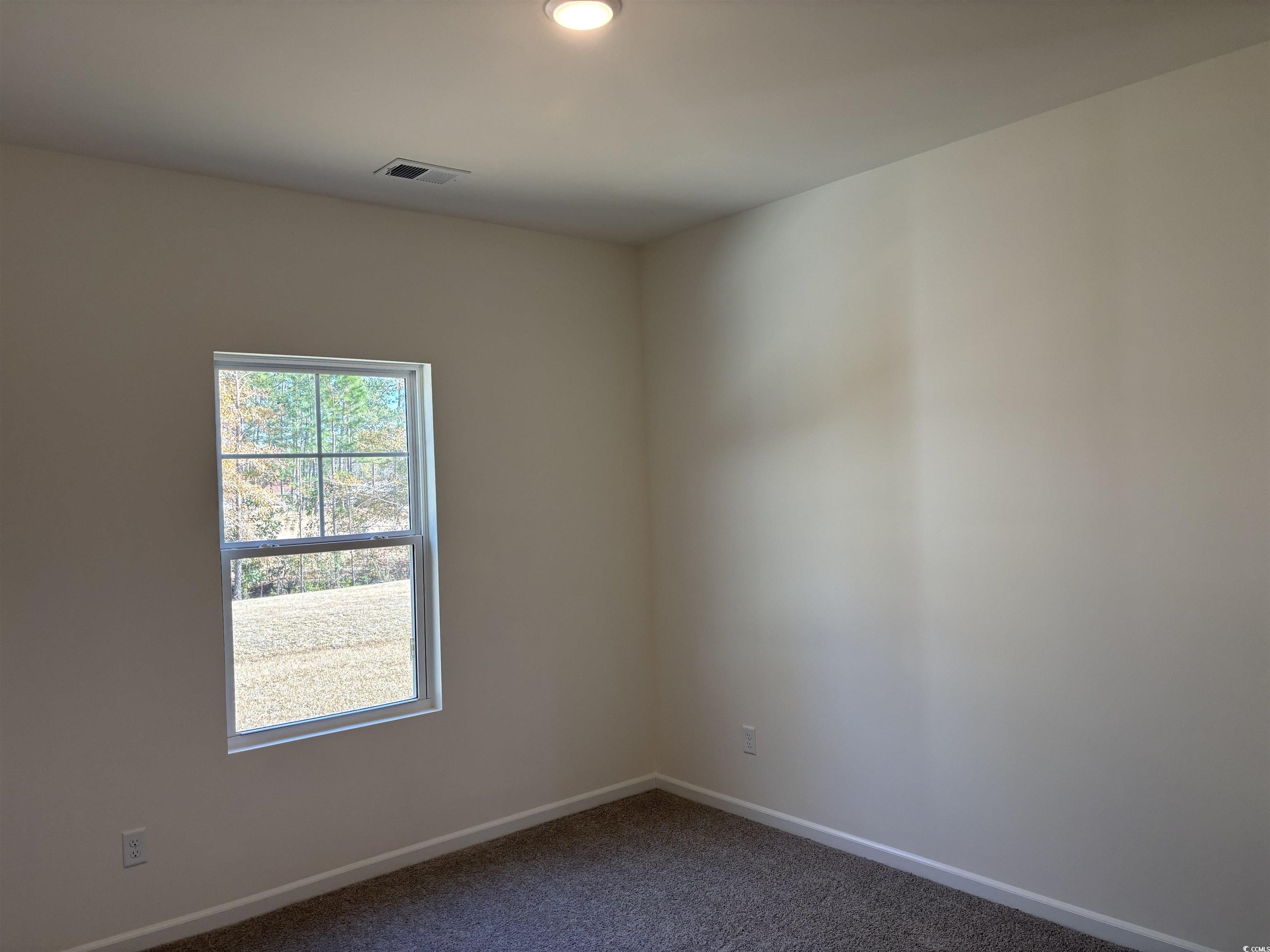 216 Palmetto Sand Loop Property Photo 26