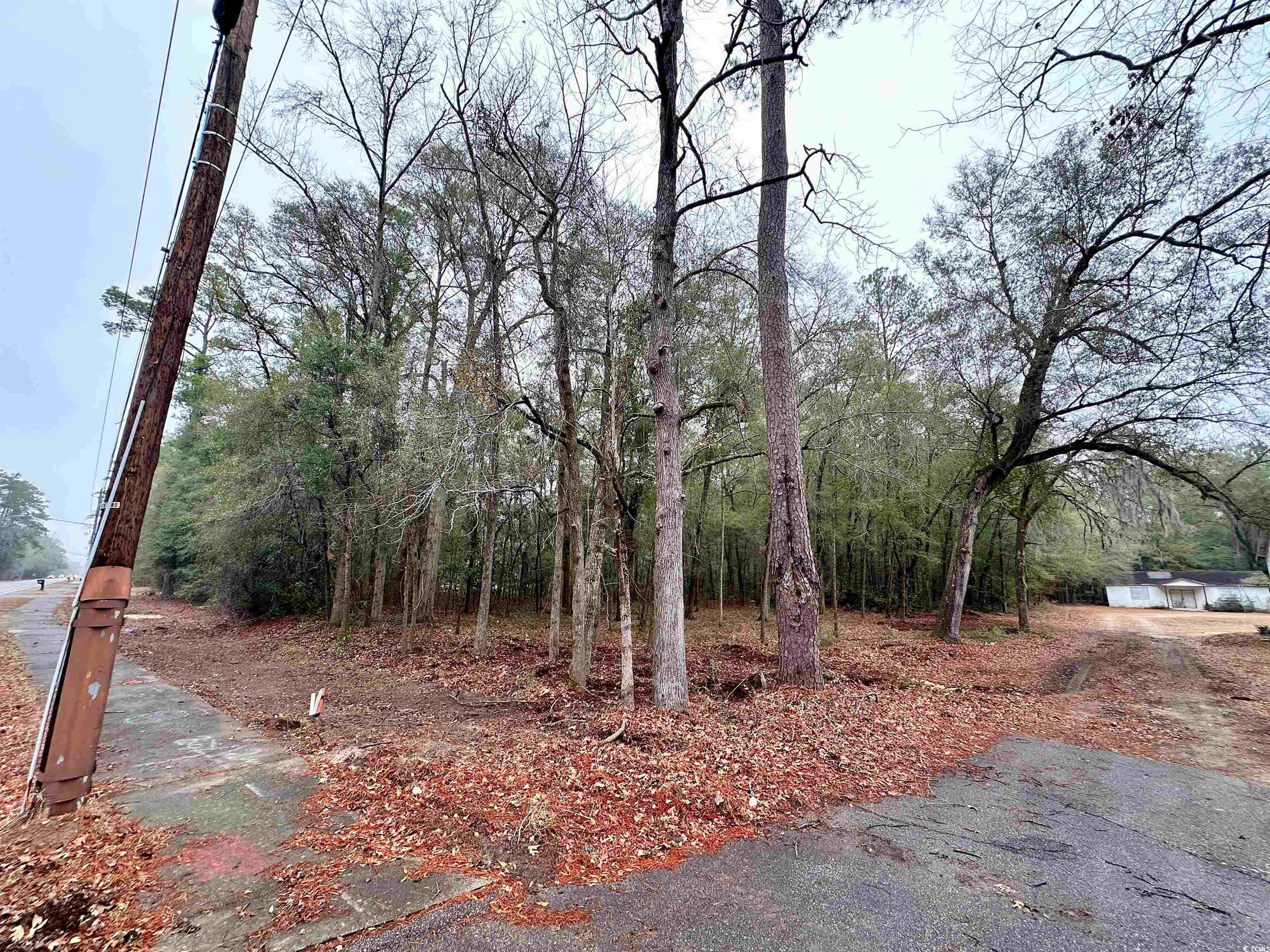 Tbd N Main St. Property Photo 2
