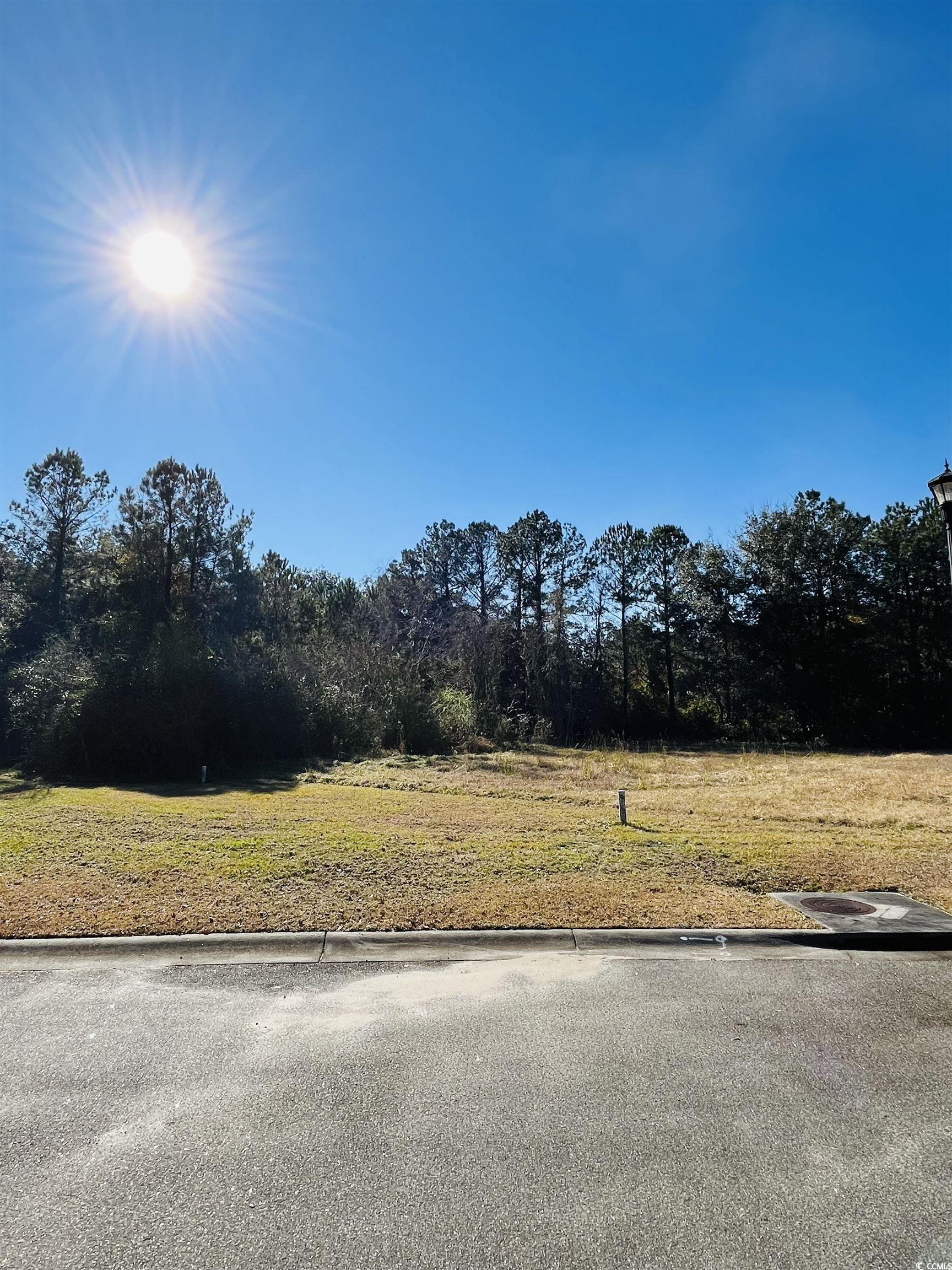 Lot 31 Oak Bay Dr. Property Photo 14